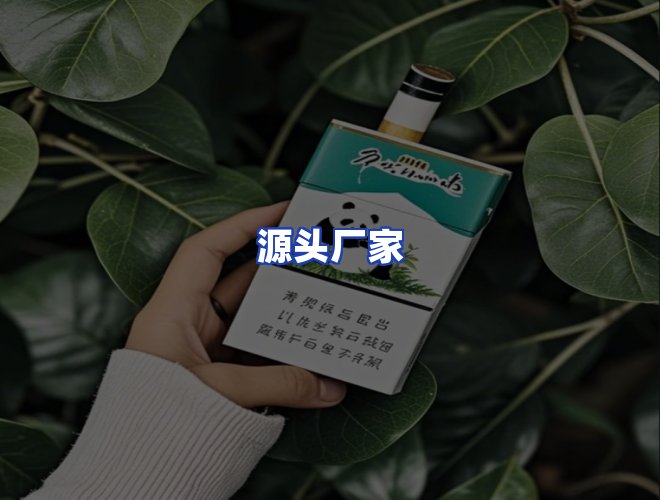 专业团队